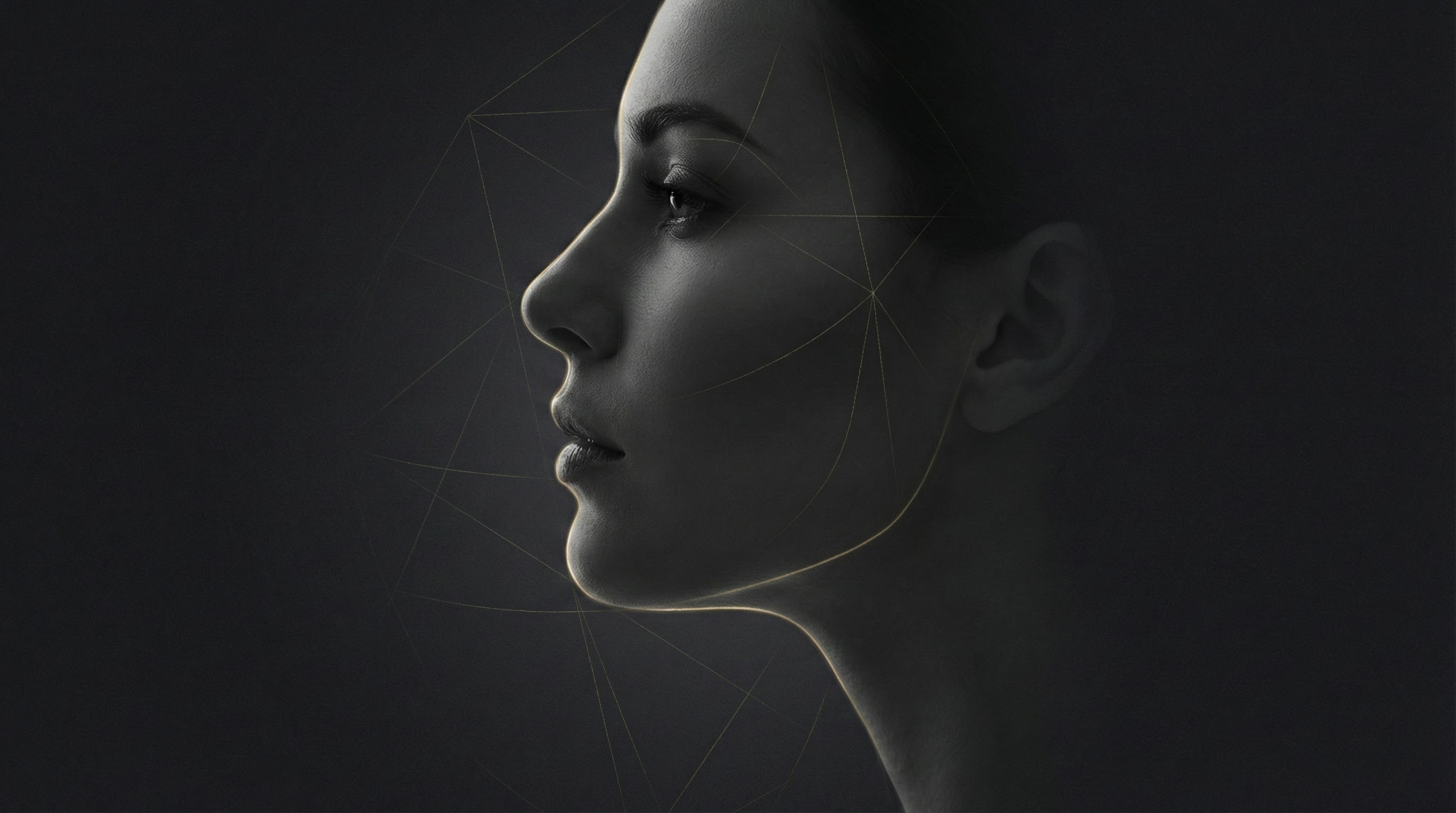 結構式全臉線雕